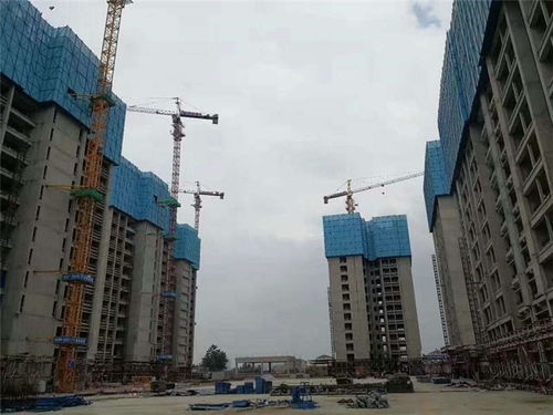 脚手架出租 福建脚手架 中租建筑设备